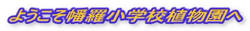 �悤�����������w�Z�A������