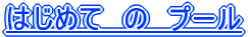 �͂��߂ā@�́@�v�[��