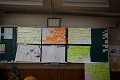 _MG_9310.jpg