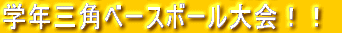 �w�N�O�p�x�[�X�{�[�����I�I