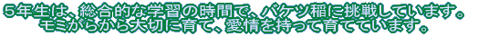 �T�N���́A�����I�Ȋw�K�̎��ԂŁA�o�P�c��ɒ��킵�Ă��܂��B���~���炩���؂Ɉ�āA����������Ĉ�ĂĂ��܂��B